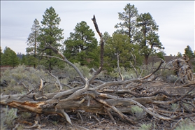 Sunset Crater